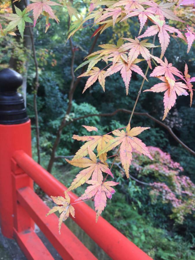Kyo-Anthu Inn Kyoto Dış mekan fotoğraf